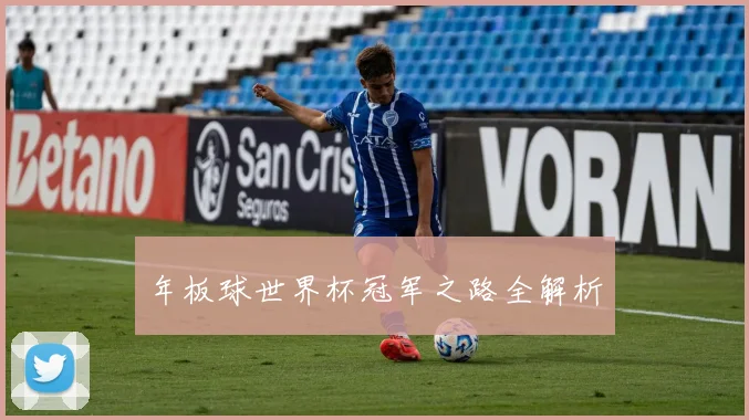 年板球世界杯冠军之路全解析