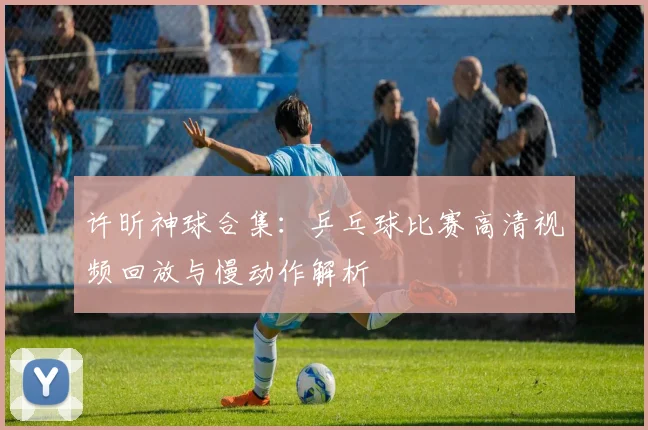 许昕神球合集：乒乓球比赛高清视频回放与慢动作解析